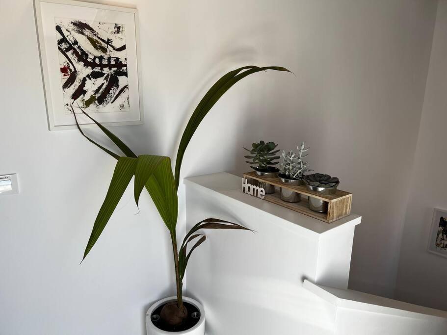 2B-Precioso Apartamento En Pleno Centro. A Estreno Alcazar de San Juan Εξωτερικό φωτογραφία